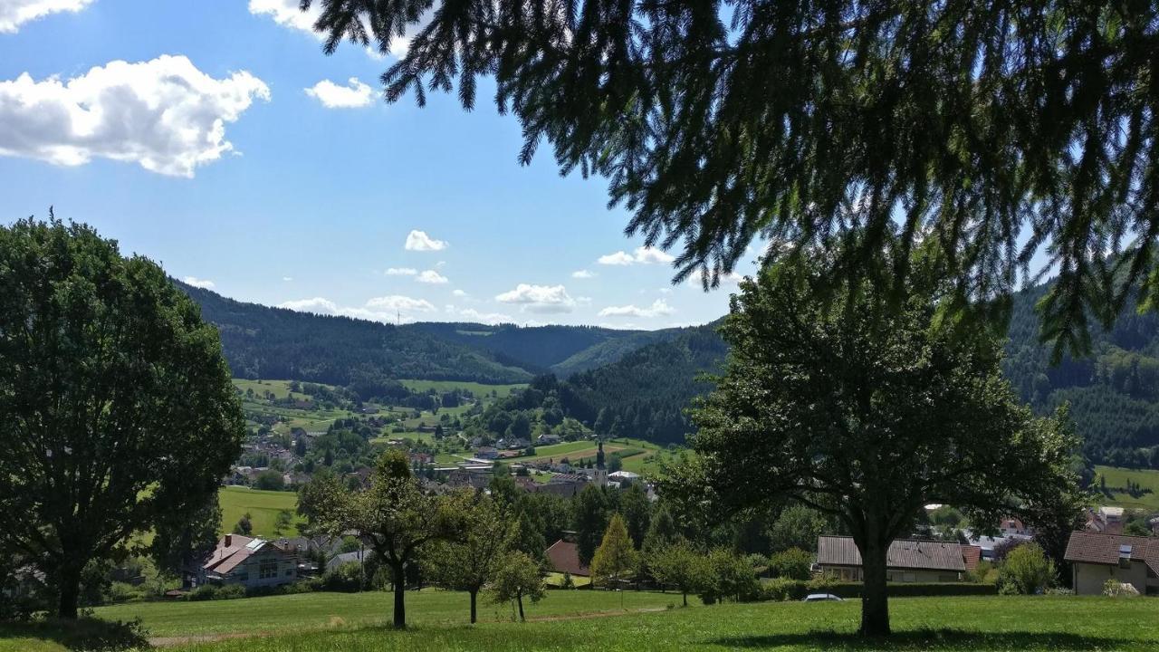 Schwarzwaelder Ferienwohnungen Seelbach  Exterior foto