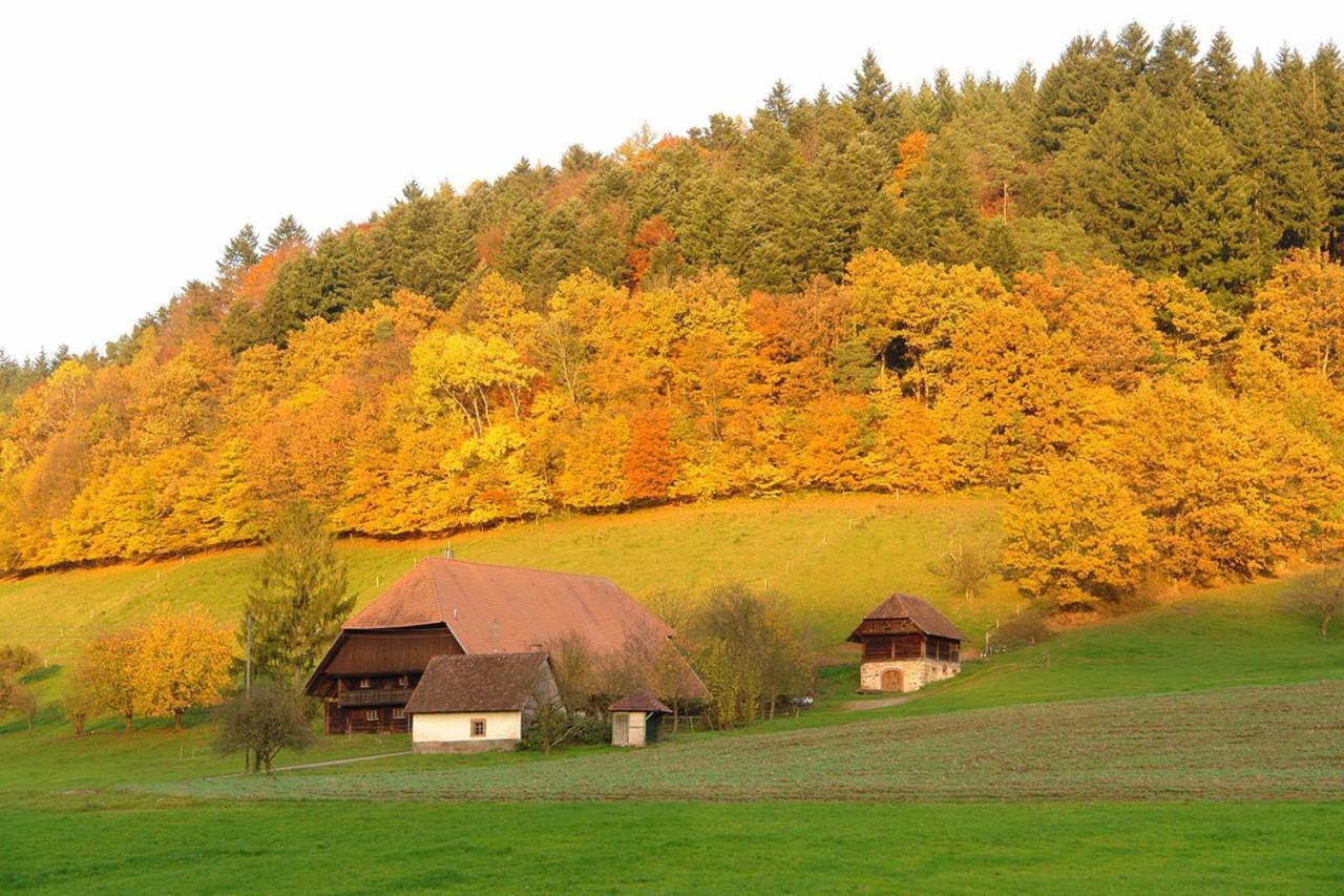 Schwarzwaelder Ferienwohnungen Seelbach  Exterior foto