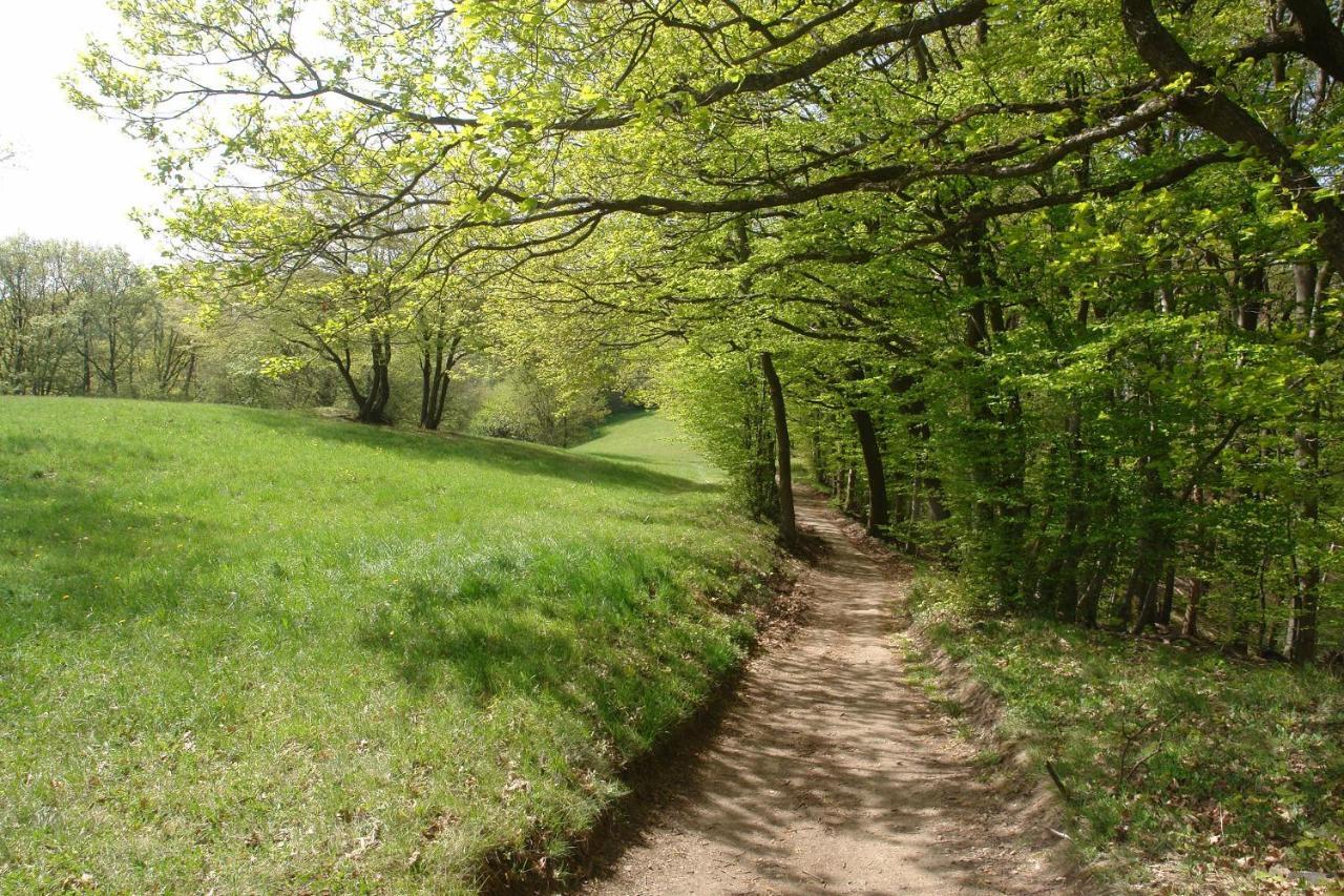 Schwarzwaelder Ferienwohnungen Seelbach  Exterior foto