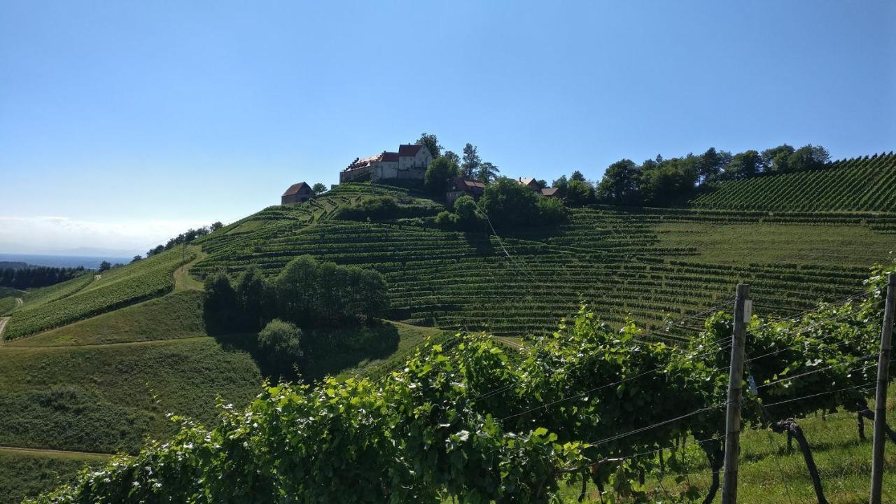 Schwarzwaelder Ferienwohnungen Seelbach  Exterior foto