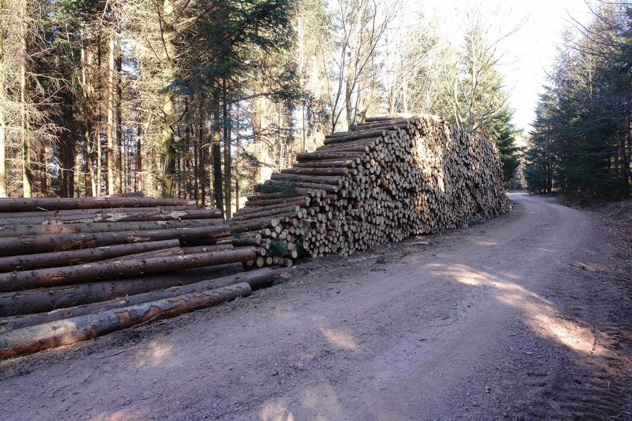 Schwarzwaelder Ferienwohnungen Seelbach  Exterior foto
