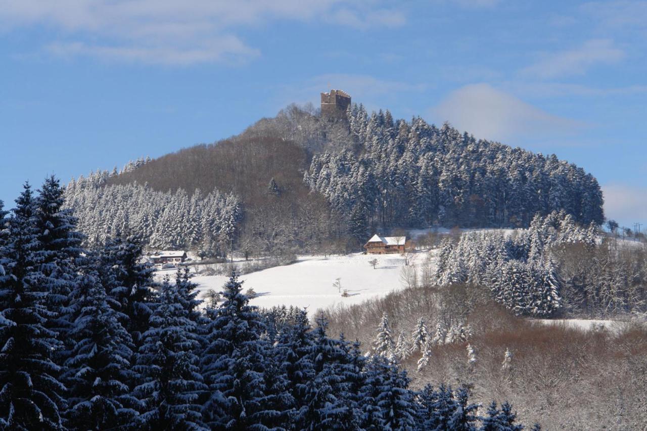 Schwarzwaelder Ferienwohnungen Seelbach  Exterior foto