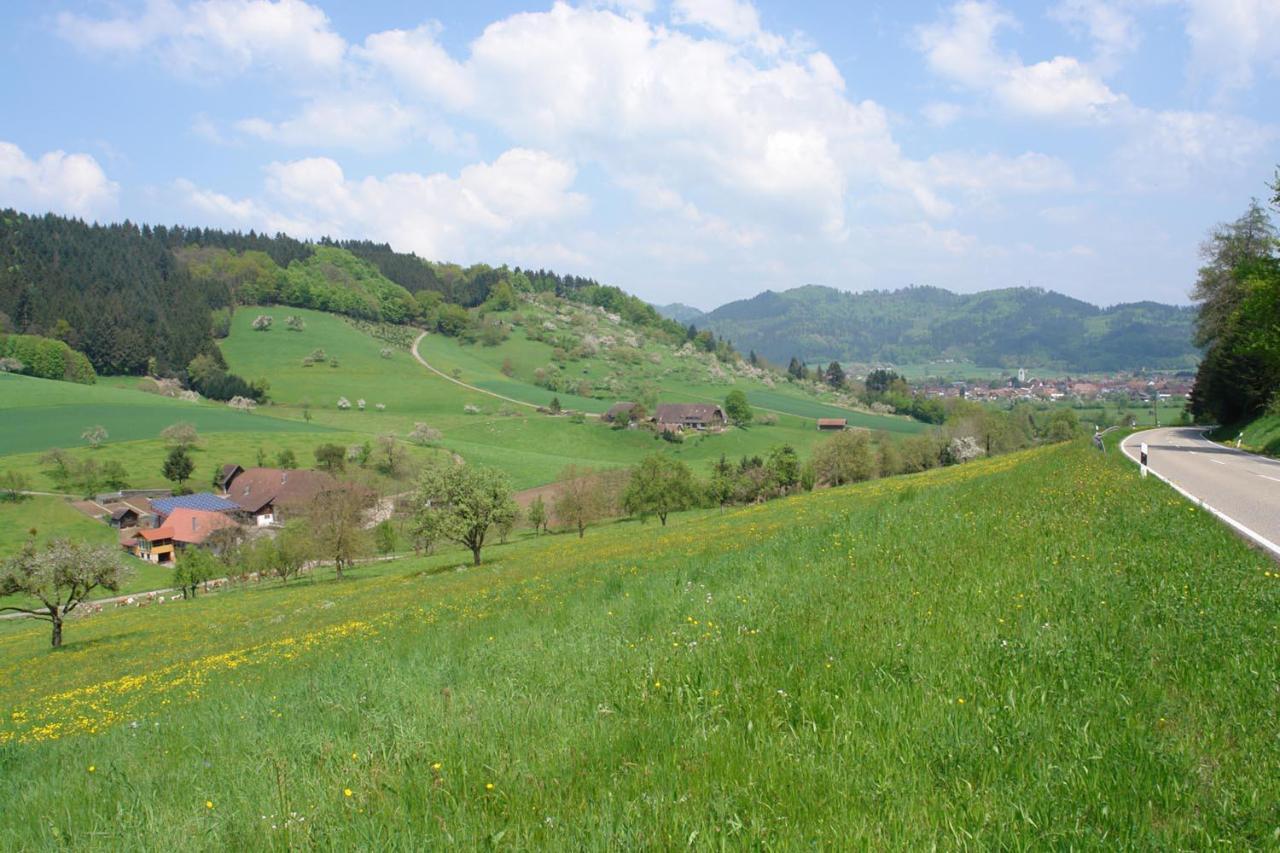 Schwarzwaelder Ferienwohnungen Seelbach  Exterior foto
