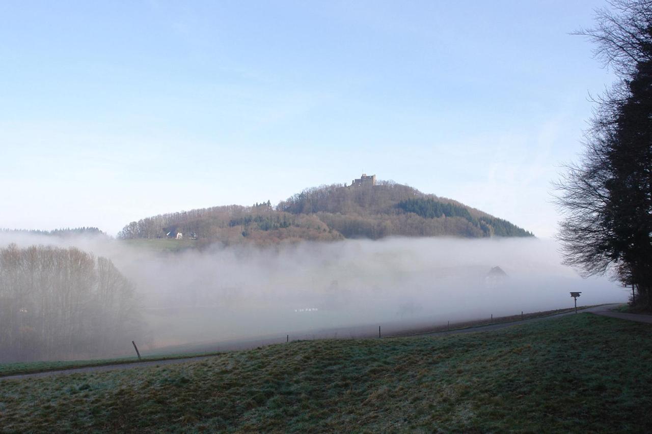 Schwarzwaelder Ferienwohnungen Seelbach  Exterior foto